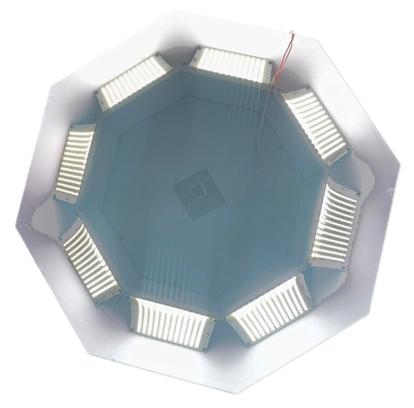 8 Panal ring